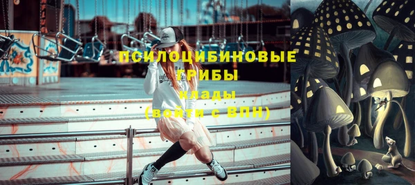 ECSTASY Ладушкин