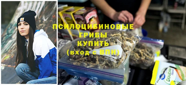 ПСИЛОЦИБИНОВЫЕ ГРИБЫ Лабытнанги
