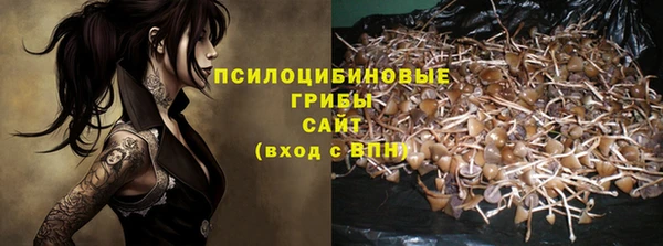 ПСИЛОЦИБИНОВЫЕ ГРИБЫ Лабытнанги