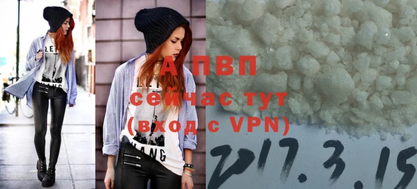 ПСИЛОЦИБИНОВЫЕ ГРИБЫ Лабытнанги