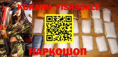 шишки Камышлов