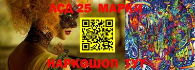 шишки Камышлов