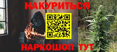 шишки Камышлов