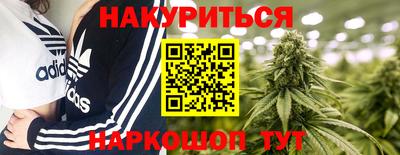 шишки Камышлов
