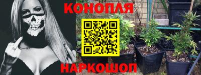 прущие крисы Канаш