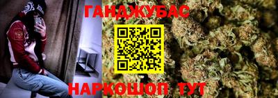 шишки Камышлов