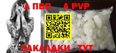 шишки Камышлов
