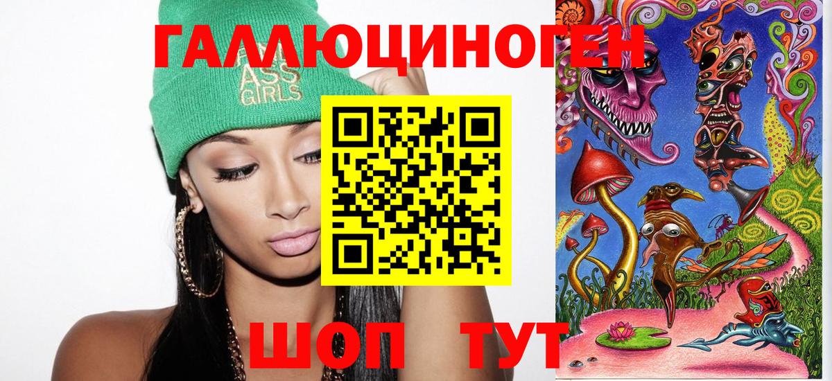 Псилоцибиновые грибы Psilocybe Строитель